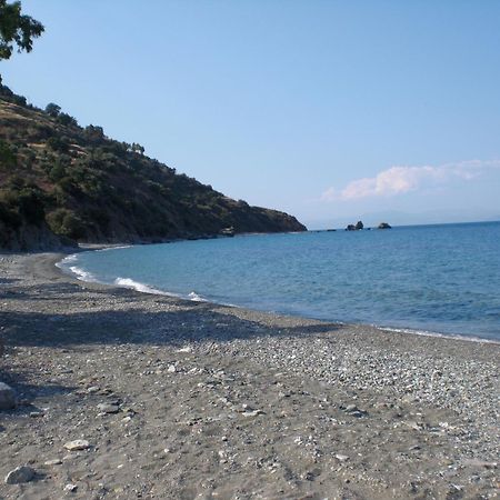 Elena's Family Apartmets Λεωνίδιο Εξωτερικό φωτογραφία
